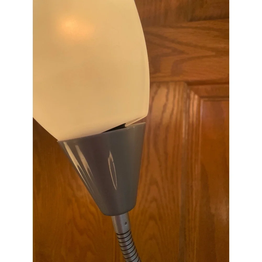 Medusa 5-Light Floor Lamp Silver Multi-Head Adjustable Gooseneck Standing Lamp